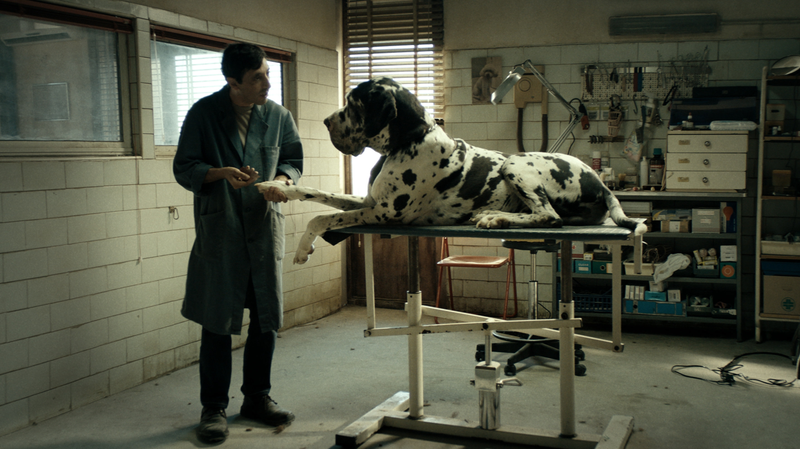 Illustration for article titled A masterful breakthrough performance provides the predictable Dogman some bark and bite